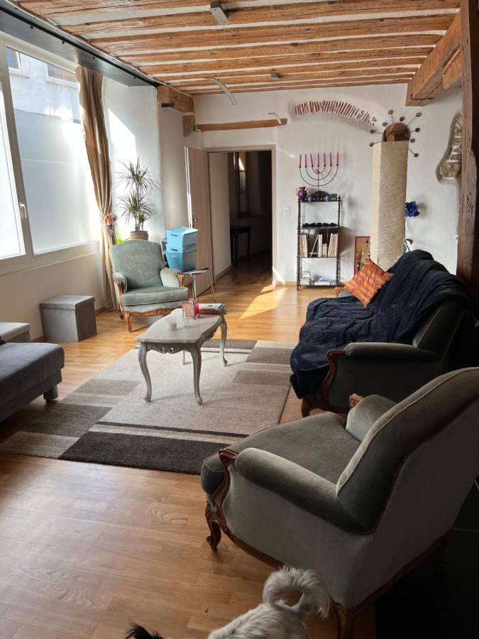 Appartement Sephora Acces Terrasse Commune La Neuveville Luaran gambar
